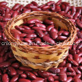 Blanco Kidney Bean China Origin